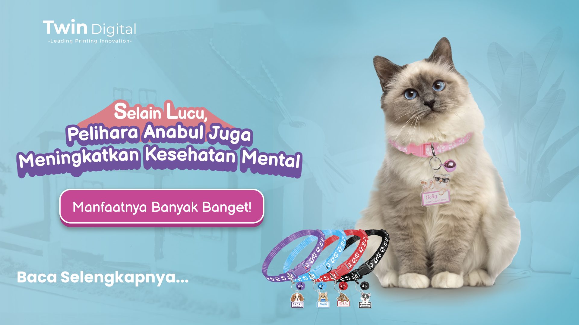 Manfaat Pelihara Kucing yang Jarang Pemilik Anabul Tahu!