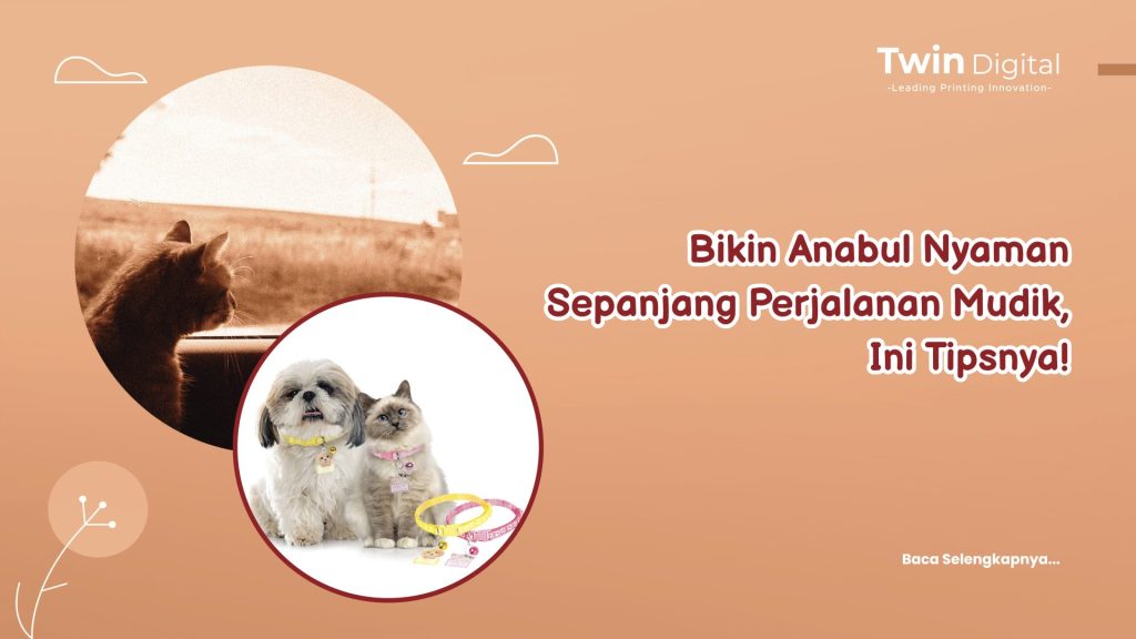 7 Tips Membawa Kucing Mudik supaya Anabul Anteng